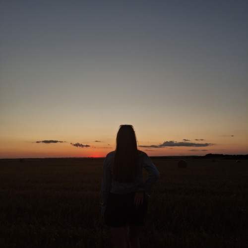 Photo #13307813