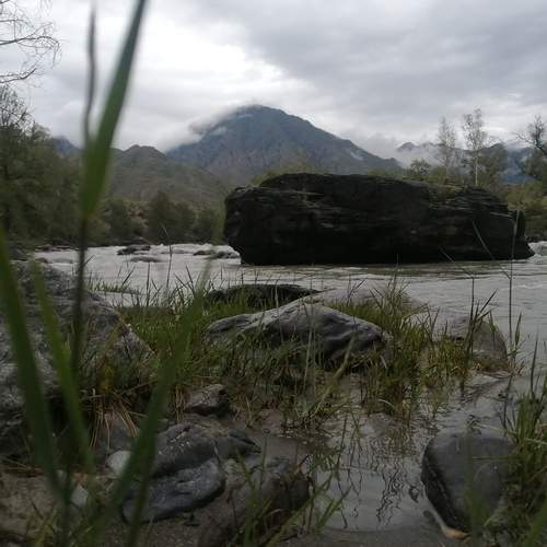 Photo #13307829
