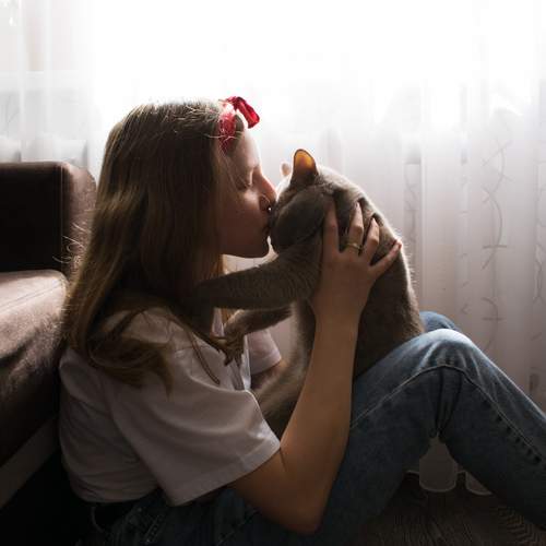 Photo #13307834