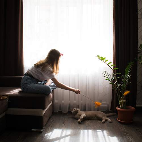 Photo #13307837