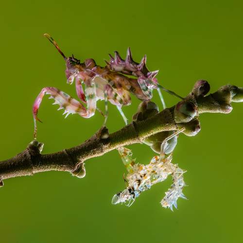 Photo #13308016