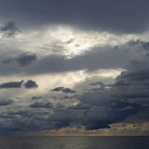 Photo #13308041