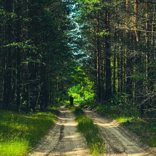 Photo #13308118