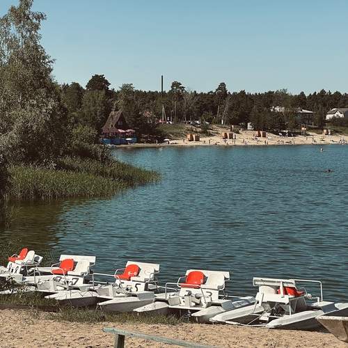 Photo #13308142