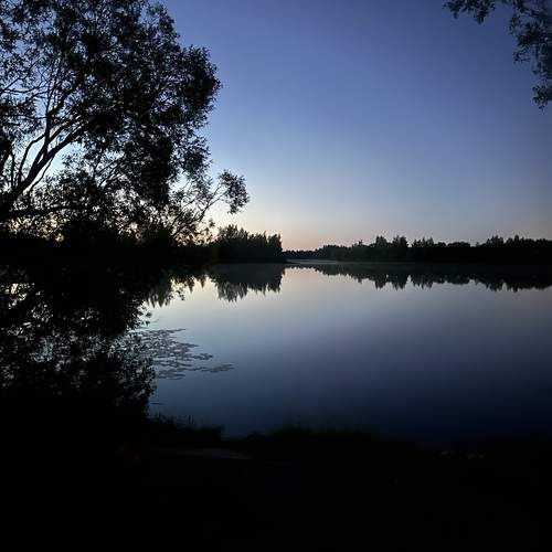 Photo #13308143
