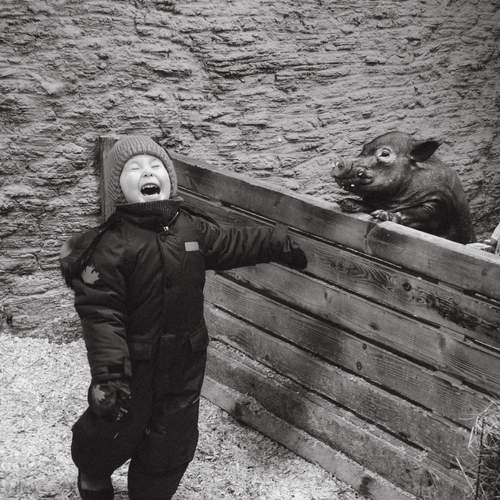 Photo #13308215