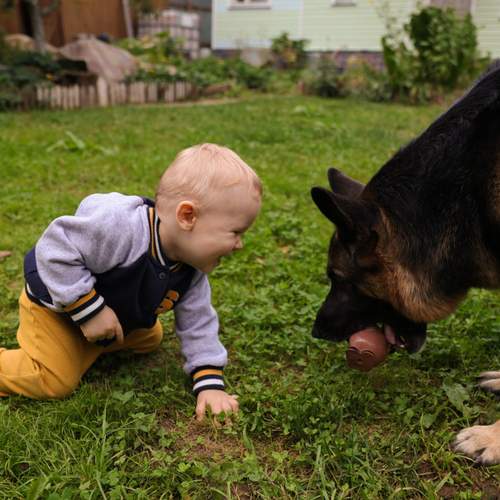Photo #13308216