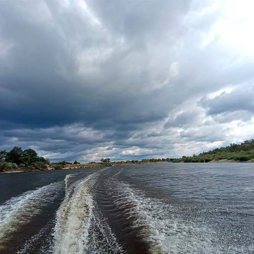 Photo #13308278