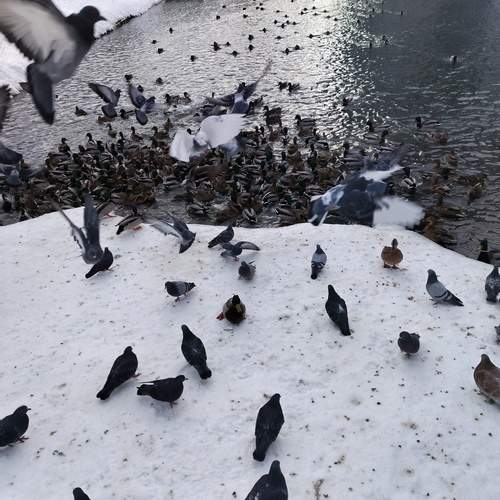 Photo #13308316