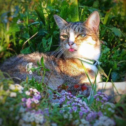 Photo #13308372
