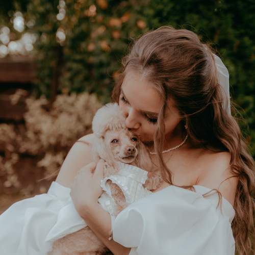 Photo #13308429