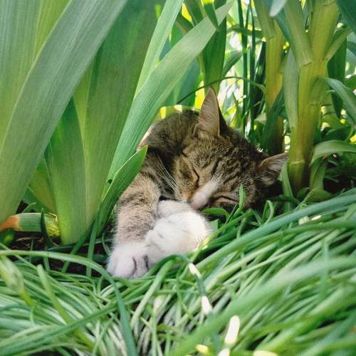 Photo #13308436