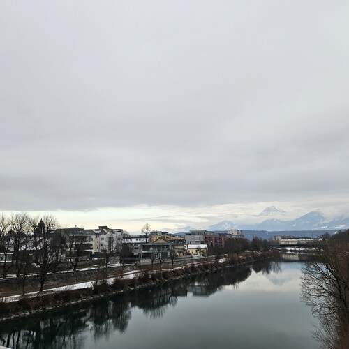 Photo #13308539