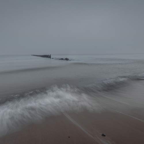 Photo #13308576