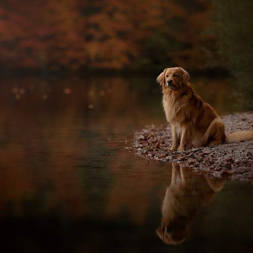 Photo #13308603