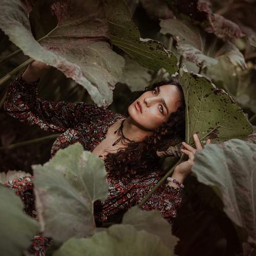 Photo #13308714