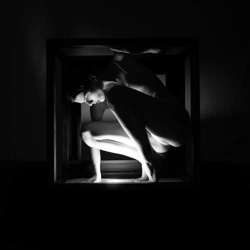 Within the Frame