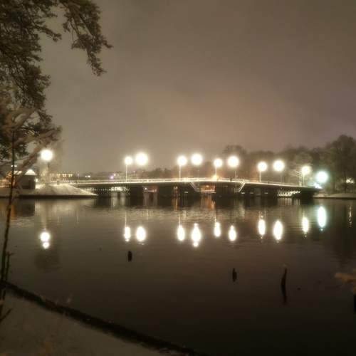 Photo #13308769