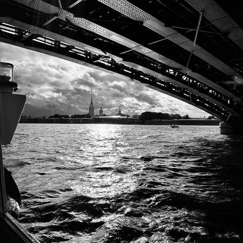 Photo #13308770