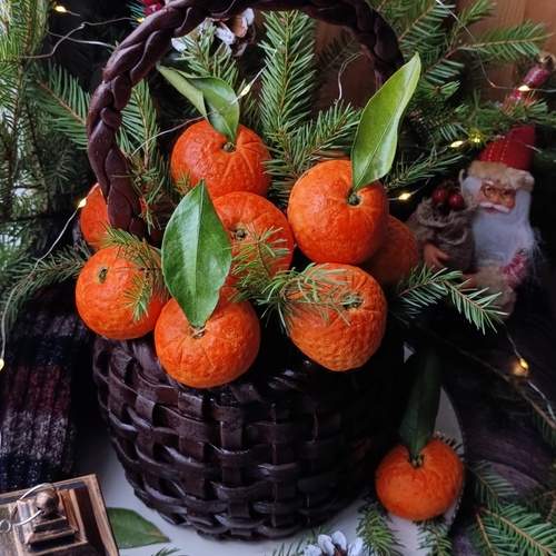 Photo #13308864