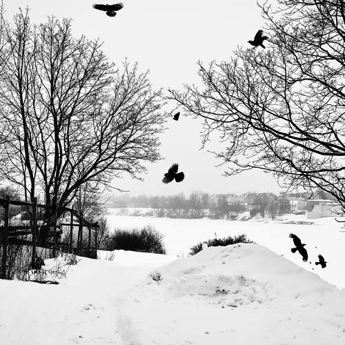 Photo #13308867