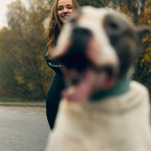 Photo #13308868