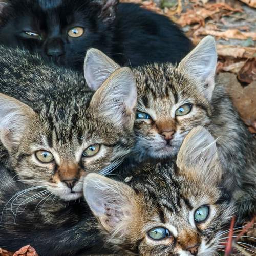 Photo #13308881