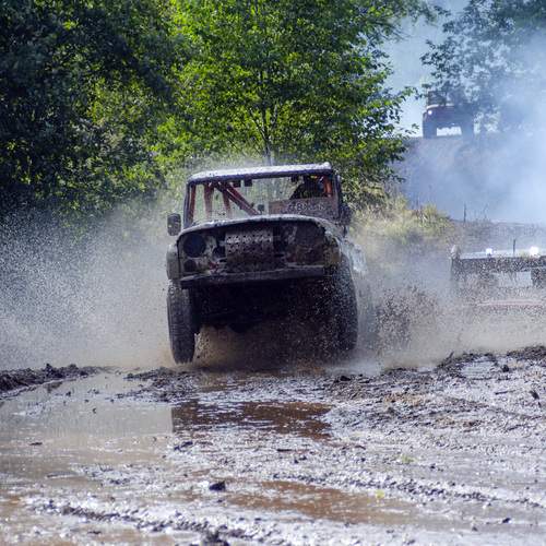 Photo #13308996