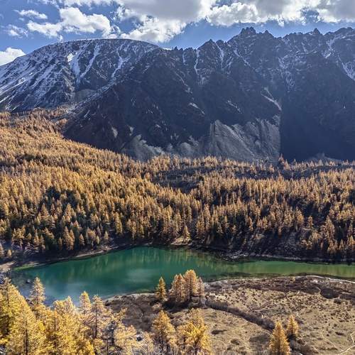 Photo #13308997