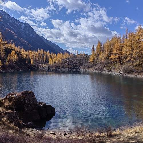 Photo #13308998