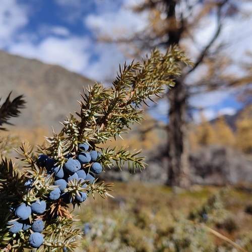 Photo #13309000