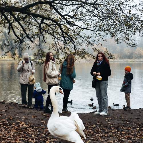 Photo #13309234