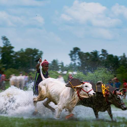 Photo #13309306