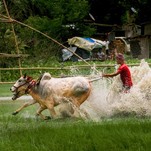 Photo #13309311