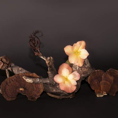 Photo #13309350