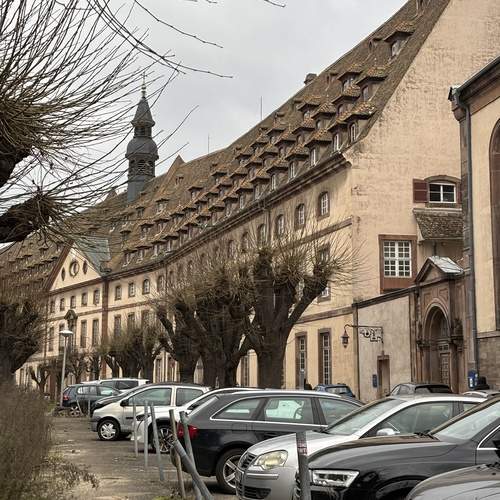 Photo #13309455
