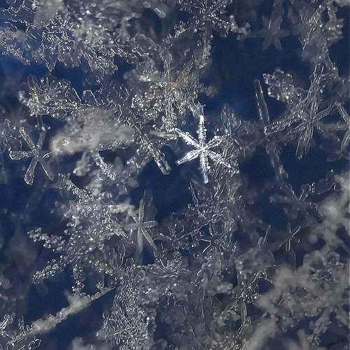 Photo #13309611