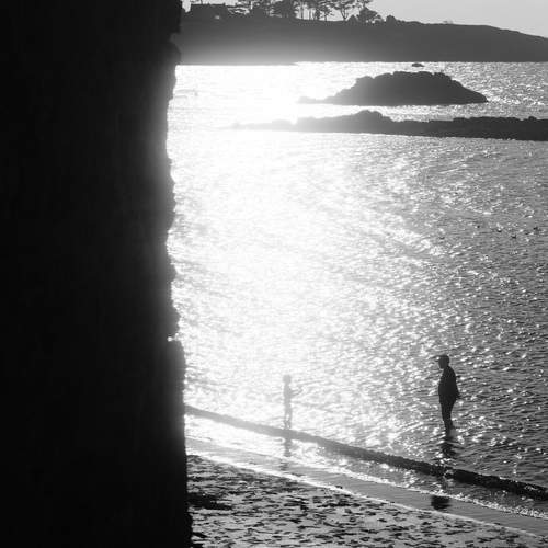 Photo #13309723