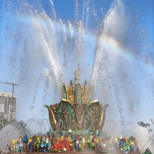 Photo #13309748