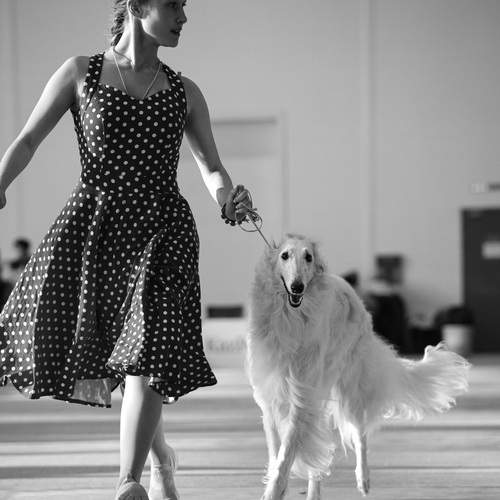 Девочка в красном сарафане и с белой собакой