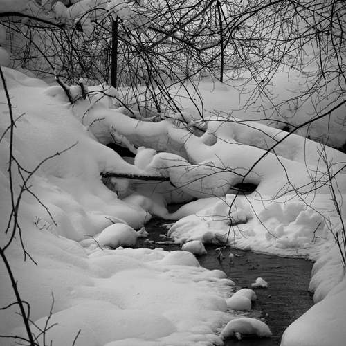 Photo #13310019