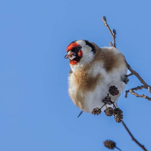 Photo #13310039