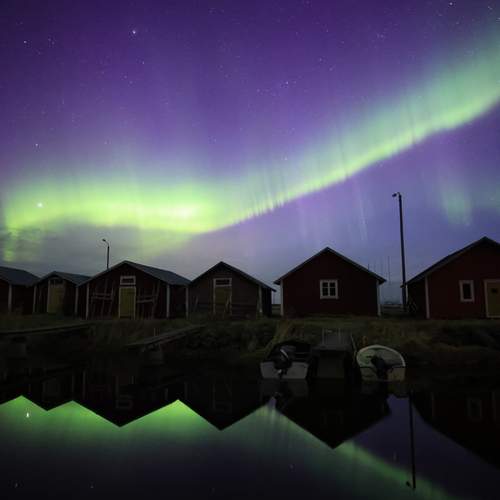 Photo #13310064