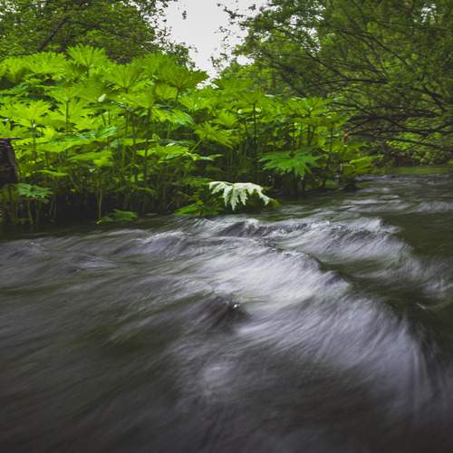 Photo #13310391