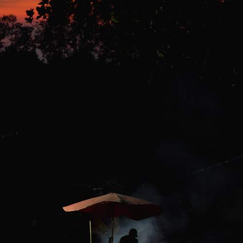 Photo #13310431