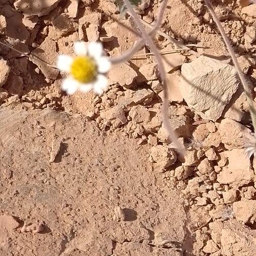 Photo #13310447