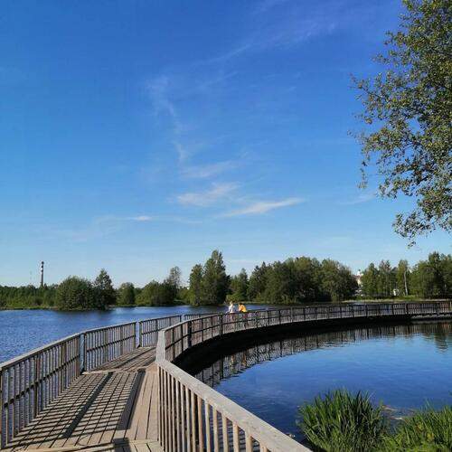 Photo #13310454