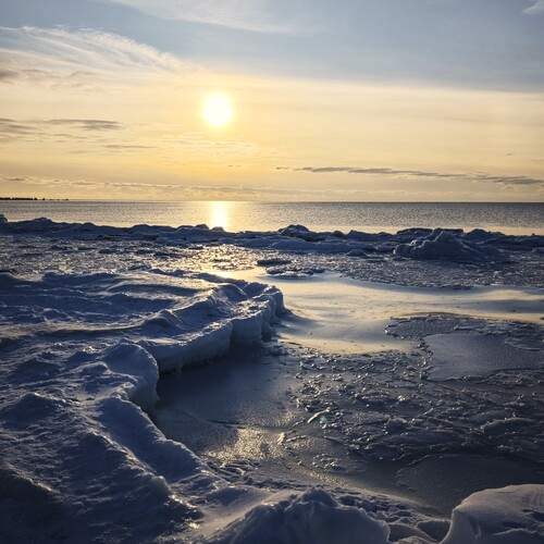 Photo #13310609