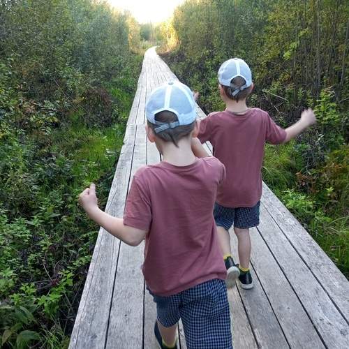 Photo #13310626
