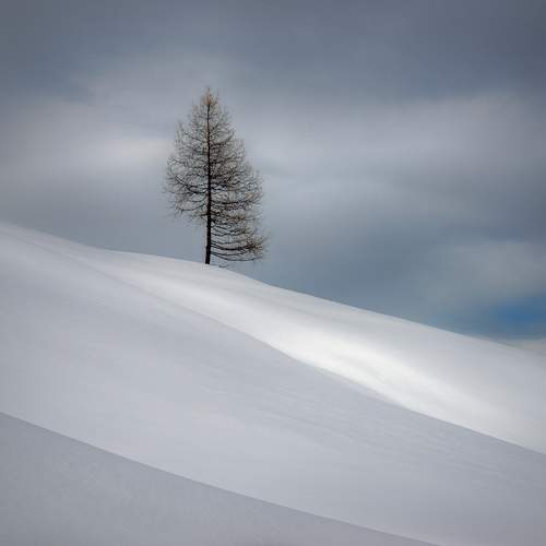 Photo #13310719